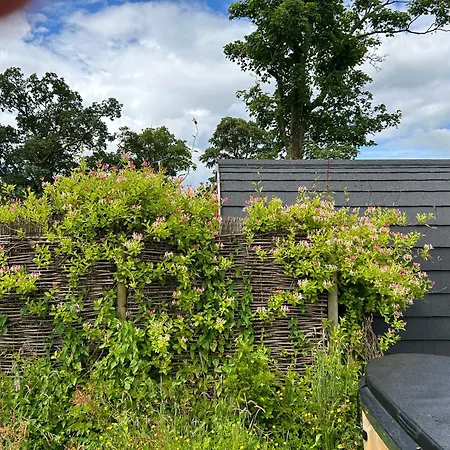 Campsite Luxury Glamping Pod - Garthside