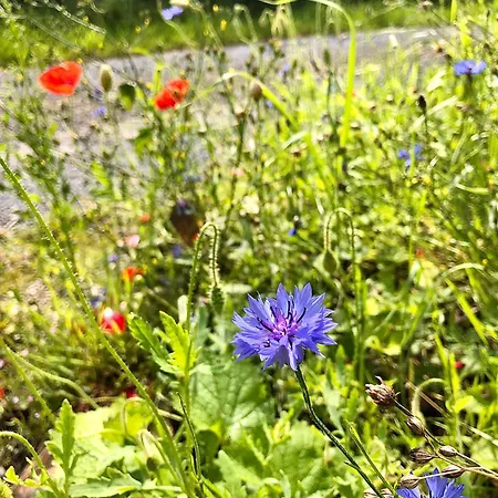 Luxury Glamping Pod - Garthside Campsite *